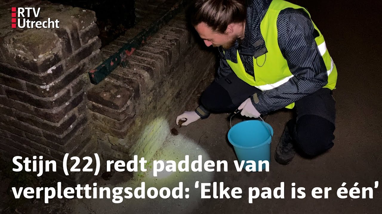 Padden massaal aan de wandel, reddingsteam in Zeist draait op volle toeren
