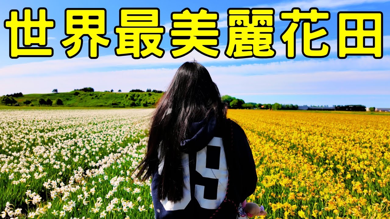 【荷蘭】如天堂般美麗的花海，真正的世外桃源就在庫肯霍夫Keukenhof｜鬱金香｜歐洲旅遊景點｜K&K Vlog