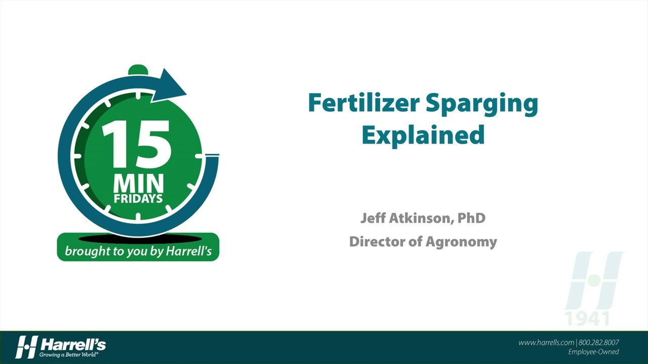 15 Minute Friday Sparging Explained