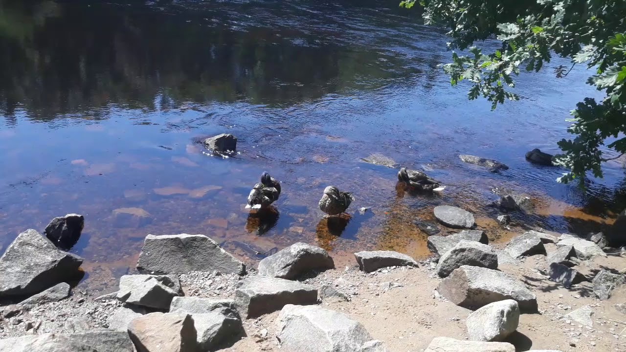 &Auml;tran River,Falkenberg, Sweden