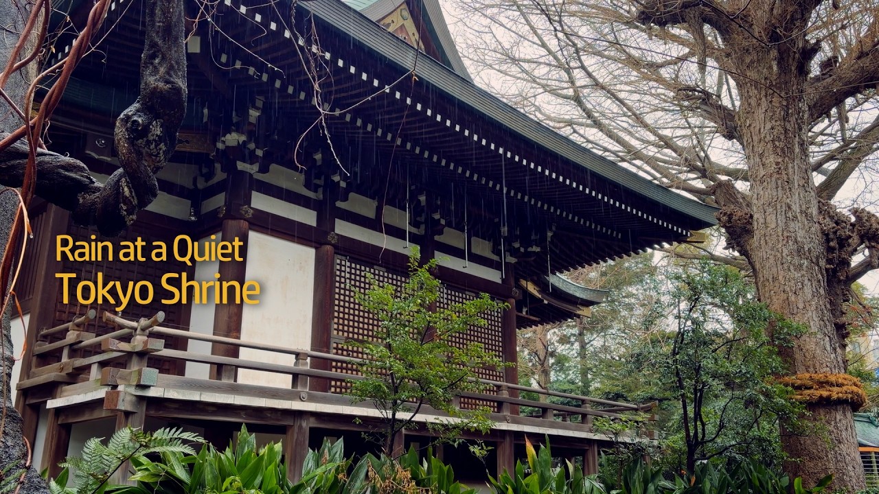 Rain at a Tokyo Shrine | Honden 本殿 Main hall 🇯🇵