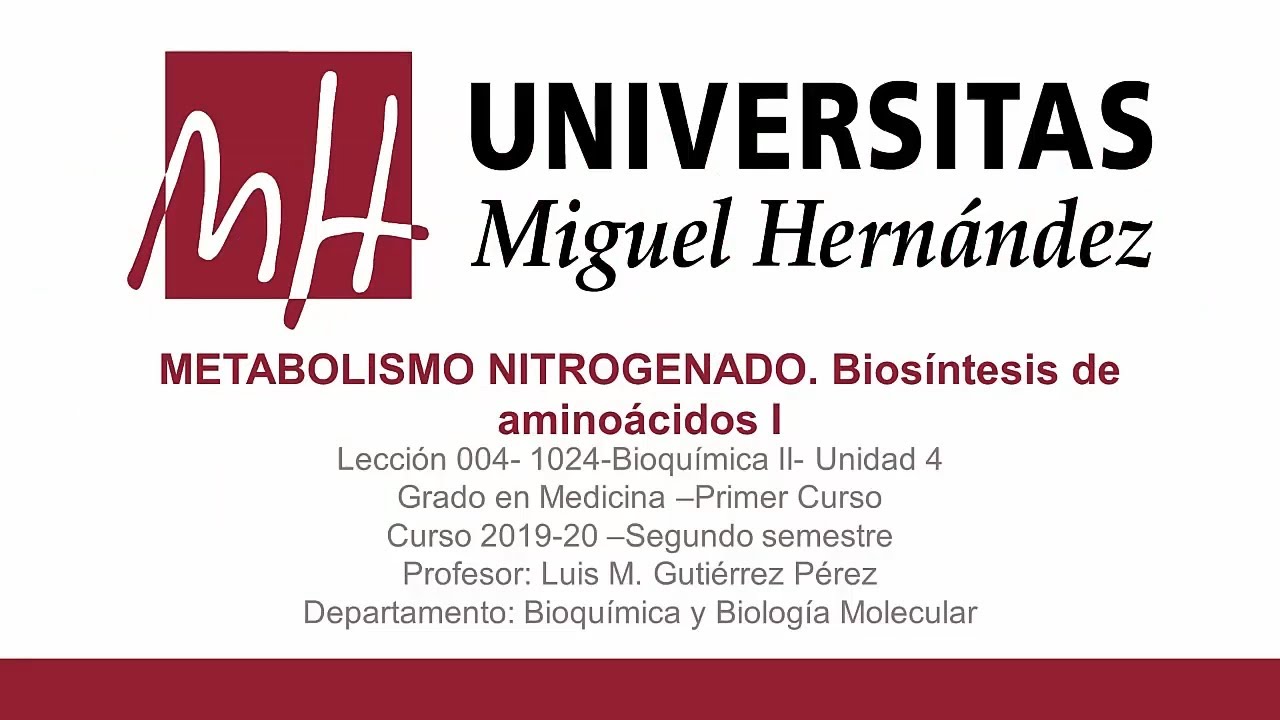 Lec029 Metabolismo nitrogenado-Biosíntesis de aminoácidos I (umh1024 2019-2020)