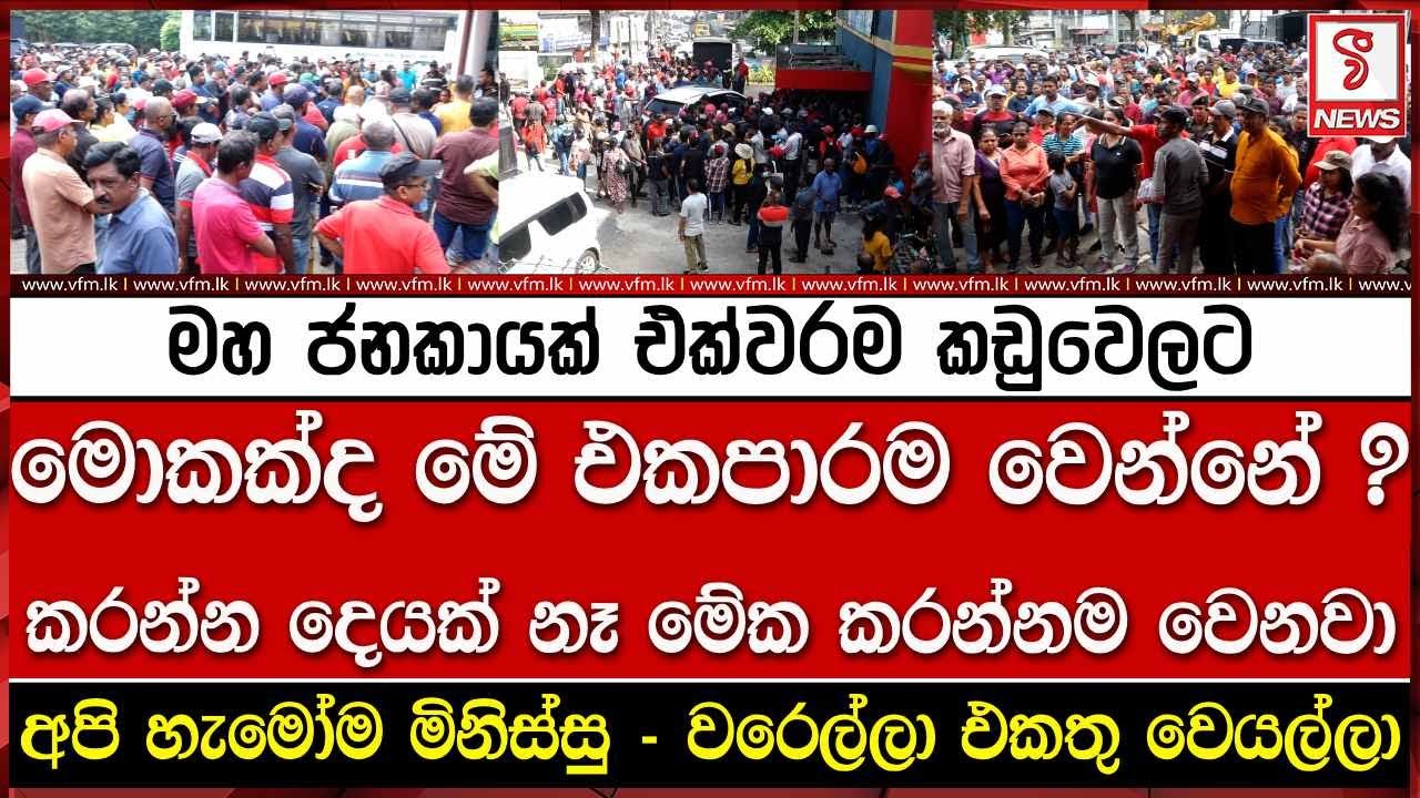 මහ ජනකායක් එක්වරම කඩුවෙලට