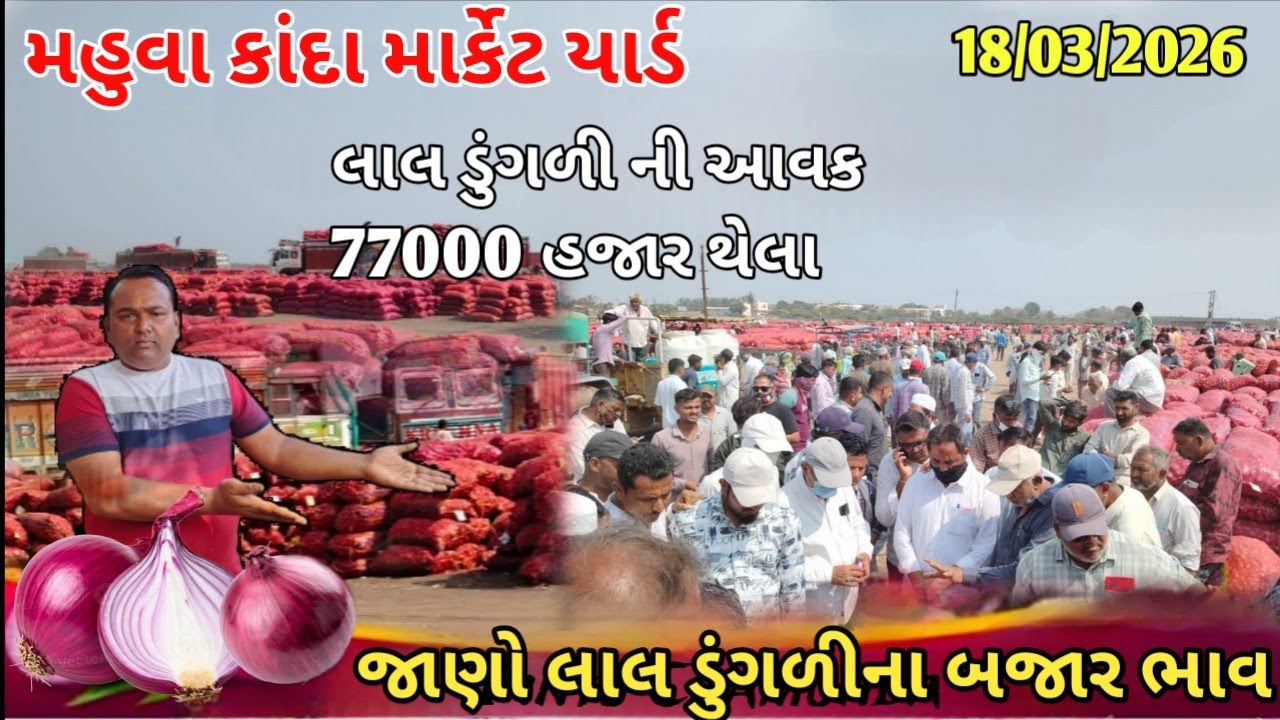 જાણો મહુવાથી લાલ ડુંગળીના બજાર ભાવ 😱 |18/03/26|APMC MAHUVA | red onion market price today 💸 /
