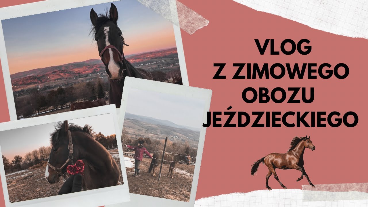 VLOG Z OBOZU JEŹDZIECKIEGO | nowe miejsce Wilczego Rancza | FERIE 2022