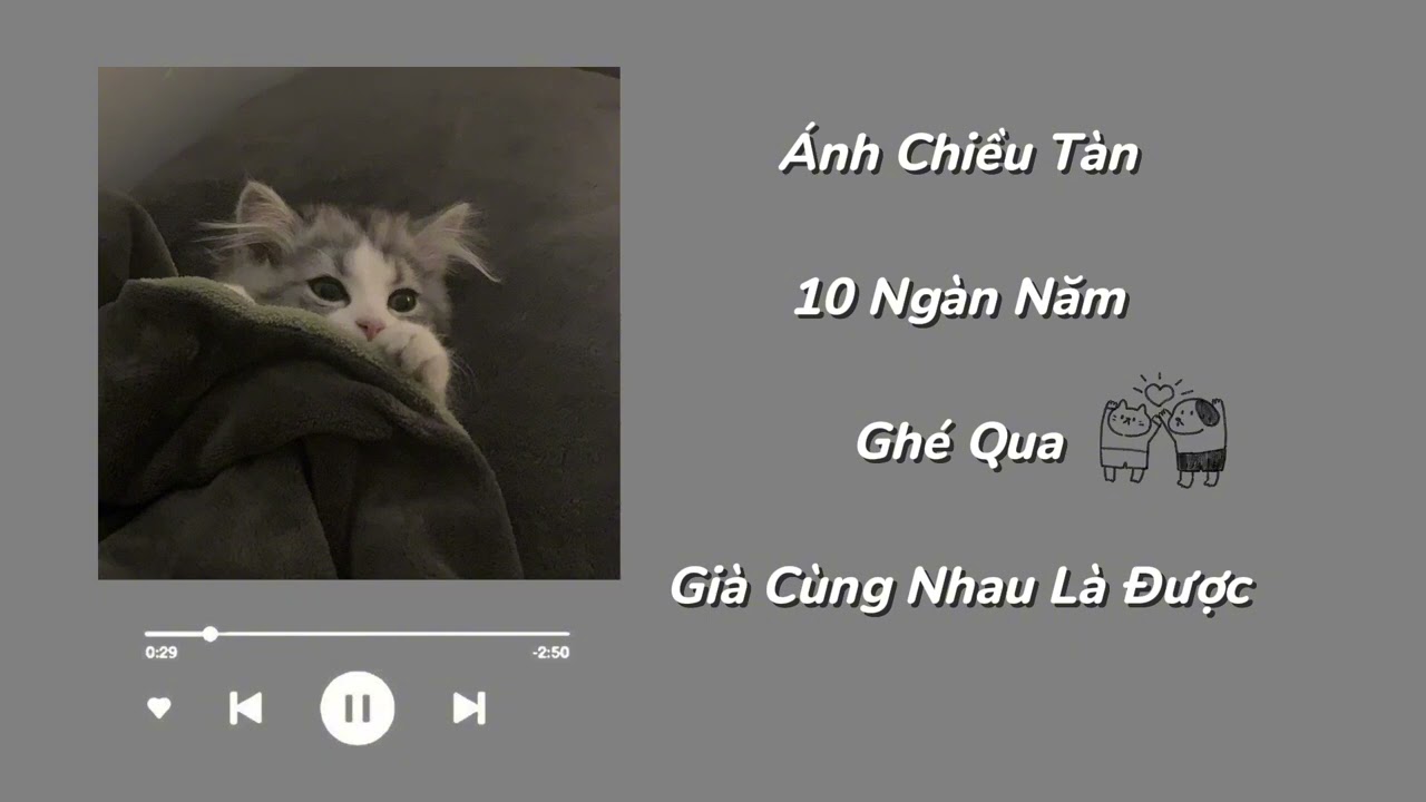 [Playlist] Ánh Chiều Tàn, 10 Ngàn Năm, Ghé Qua, Già Cùng Nhau Là Được. 