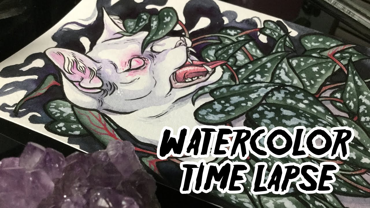 Cat Snare // Watercolor Painting Time Lapse + Name Change