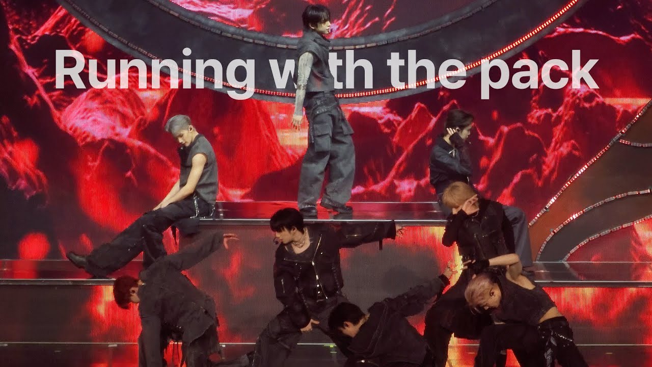 250607 &TEAM - Running with the pack | 앤팀 서울콘 런윗팩 직캠