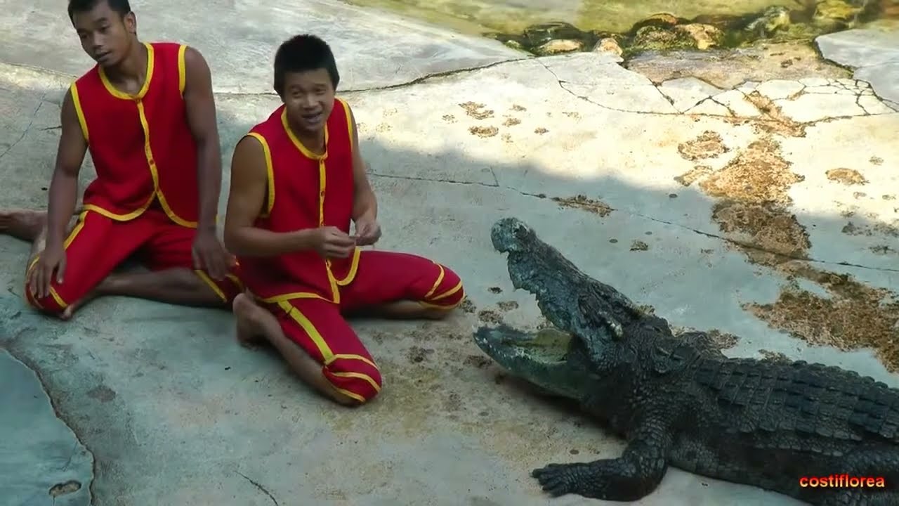 Thailand - Part 13/15 - Crocodile Farm -Travel, calatorii, worldwide -Omnia Turism