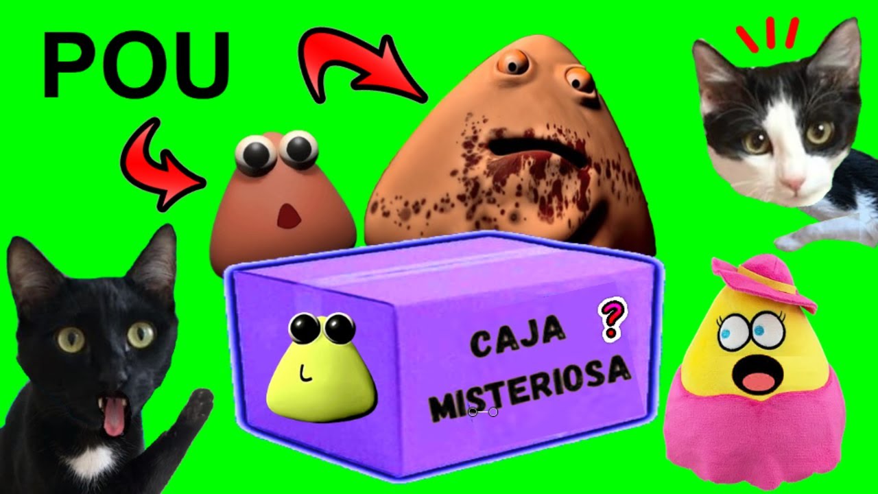 CAJA MISTERIOSA DE LA VENGANZA DE POU (BOU’S REVENGE) / Videos de gatos graciosos Luna y Estrella
