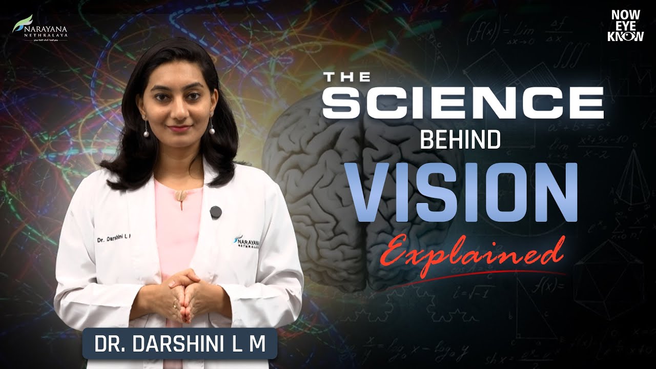 Ваши глаза не видят &mdash; их видит ваш мозг. #наука #зрение