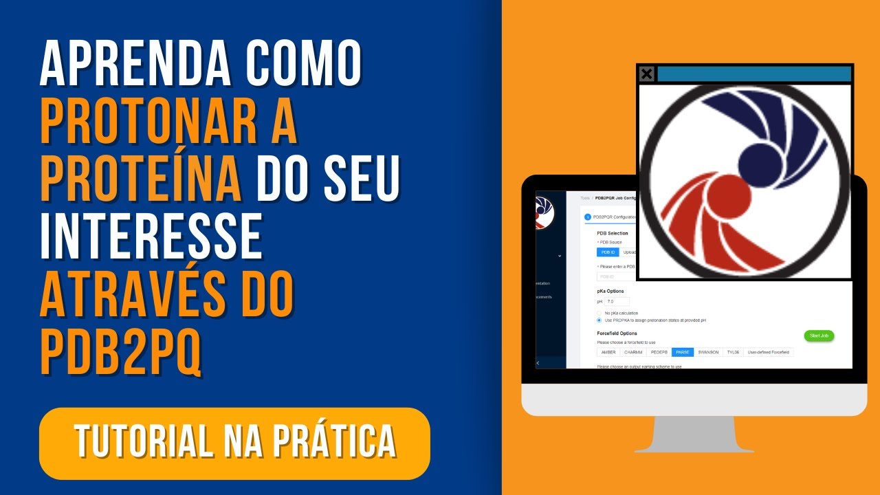 PDB2PQR: programa que permite fazer a protonação de proteínas