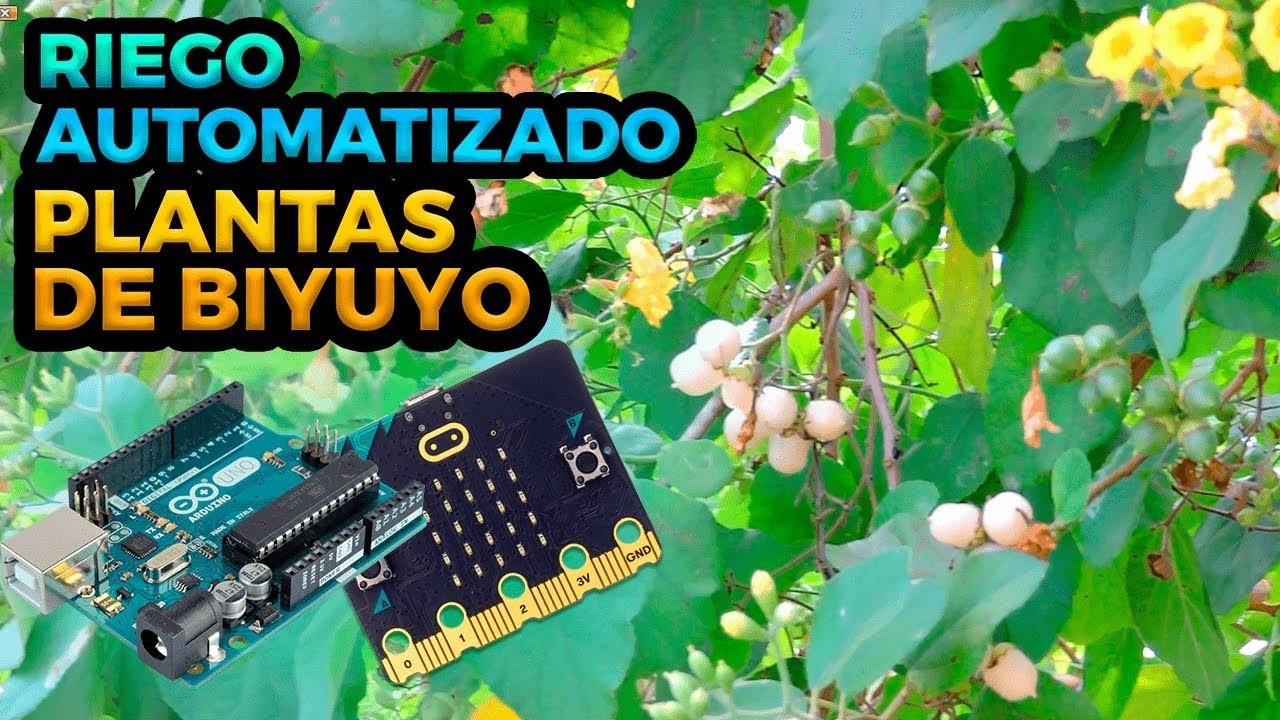 Riego automatizado de plantas de Biyuyo
