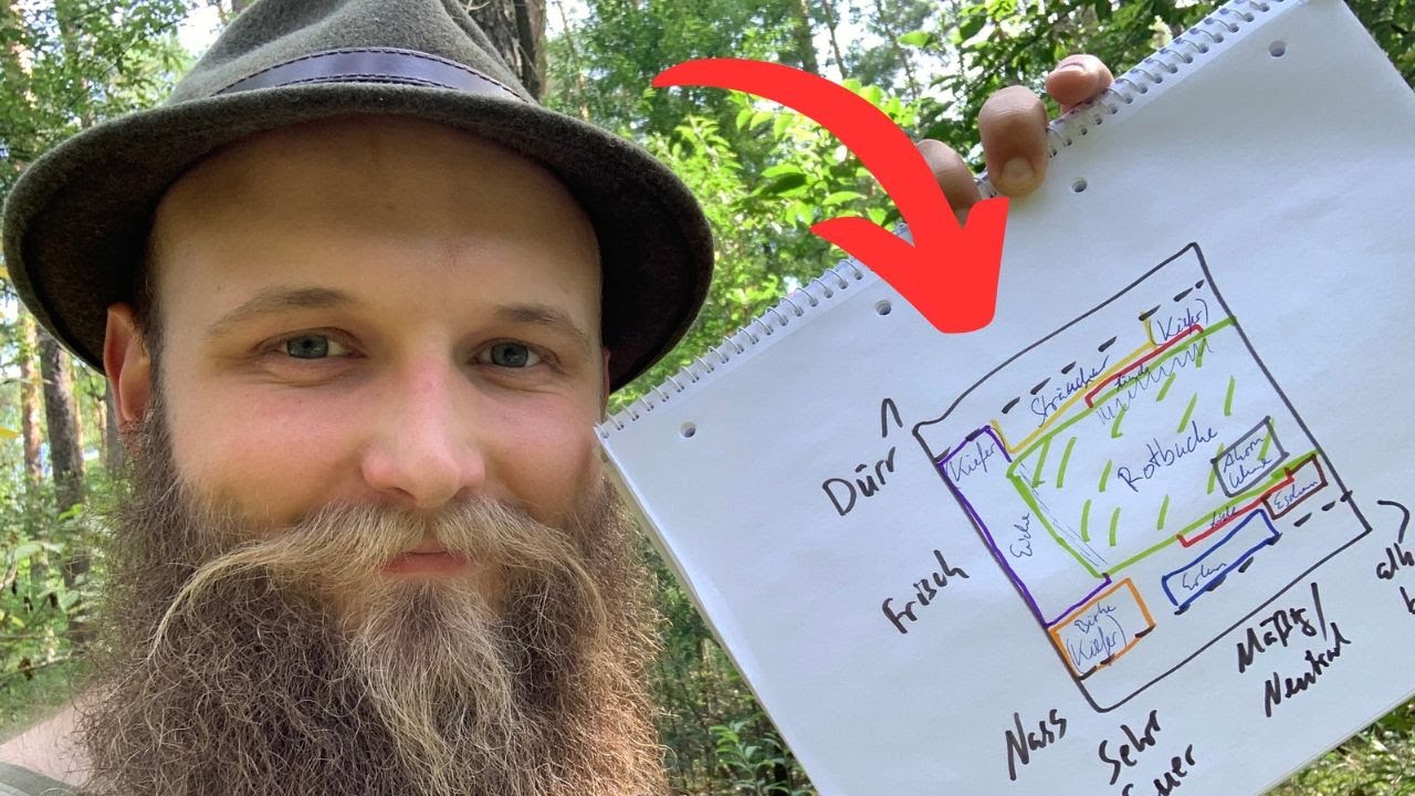 Wie entscheidet sich, wo der Baum wächst? (Ökogramm nach Ellenberg, Standortansprüche der Bäume)