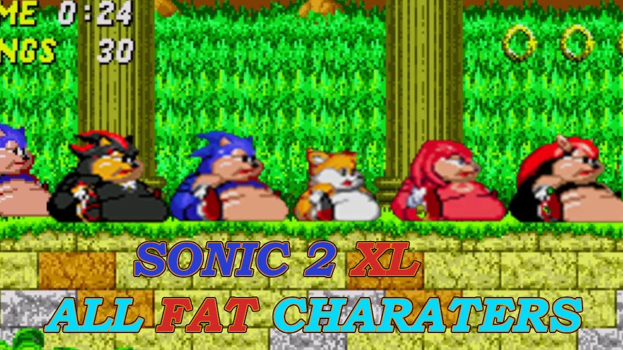 Sonic 2 XL Fat Tails, Shadow, Knuckles, Mighty, Sonic