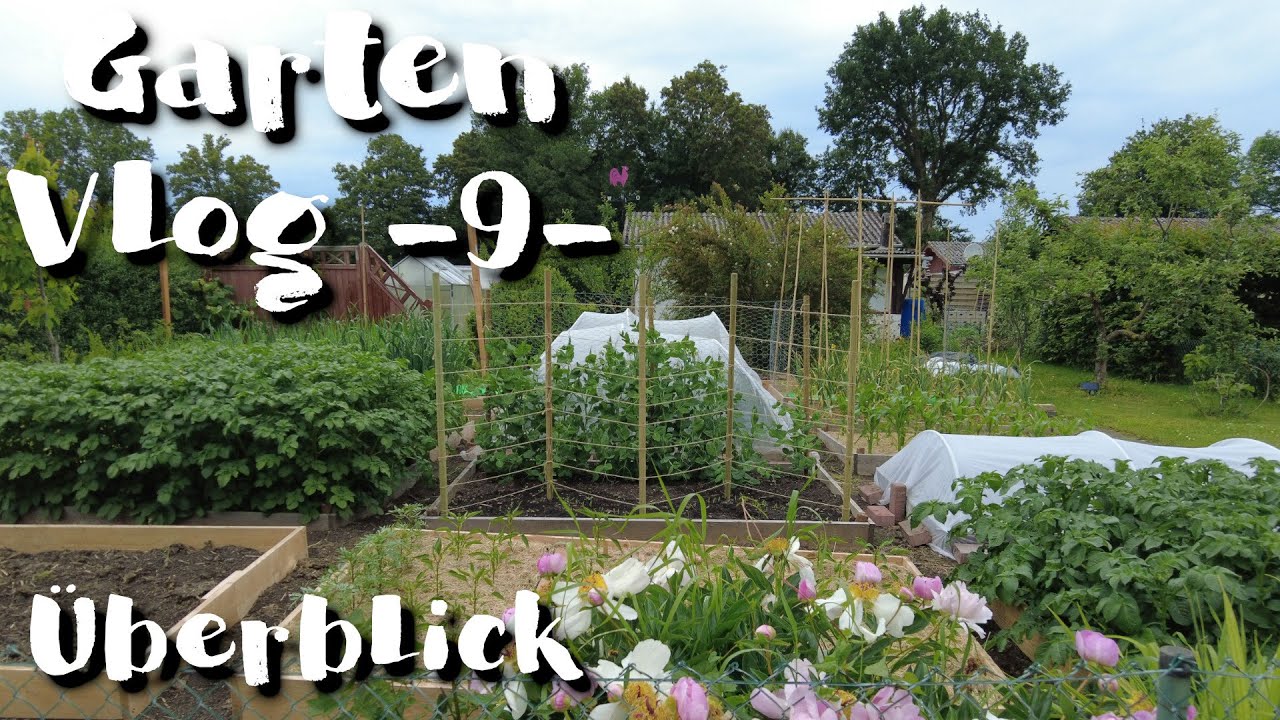 &Uuml;berblick - GartenVlog 9