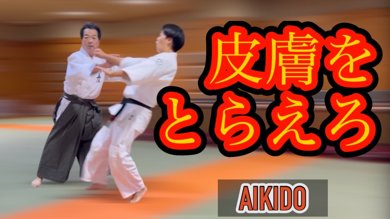 Хватай кожу【Айкидо ✖︎ Кунио Ясуэ】