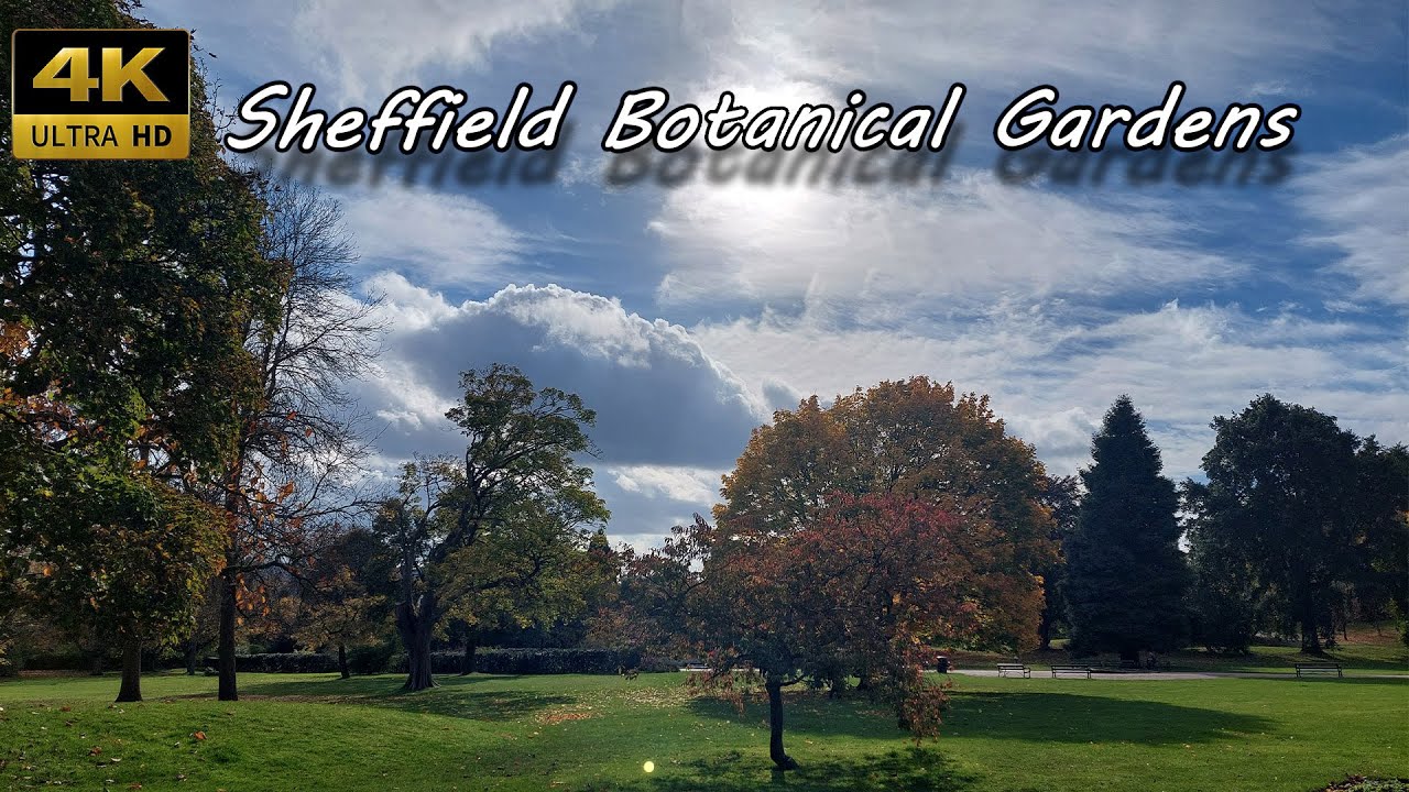 Sheffield Botanical Gardens 2024