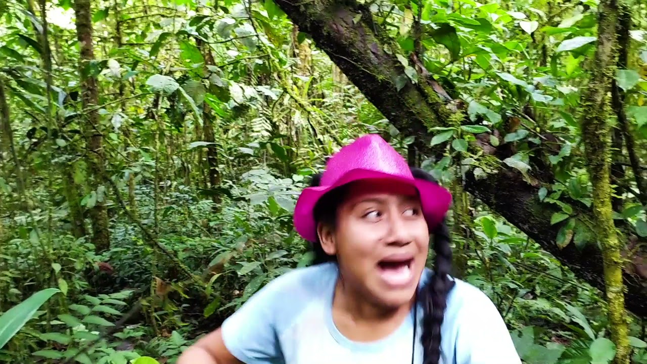 NO PUEDO CREER LO QUE VI EN LA SELVA PRIMERA PARTE