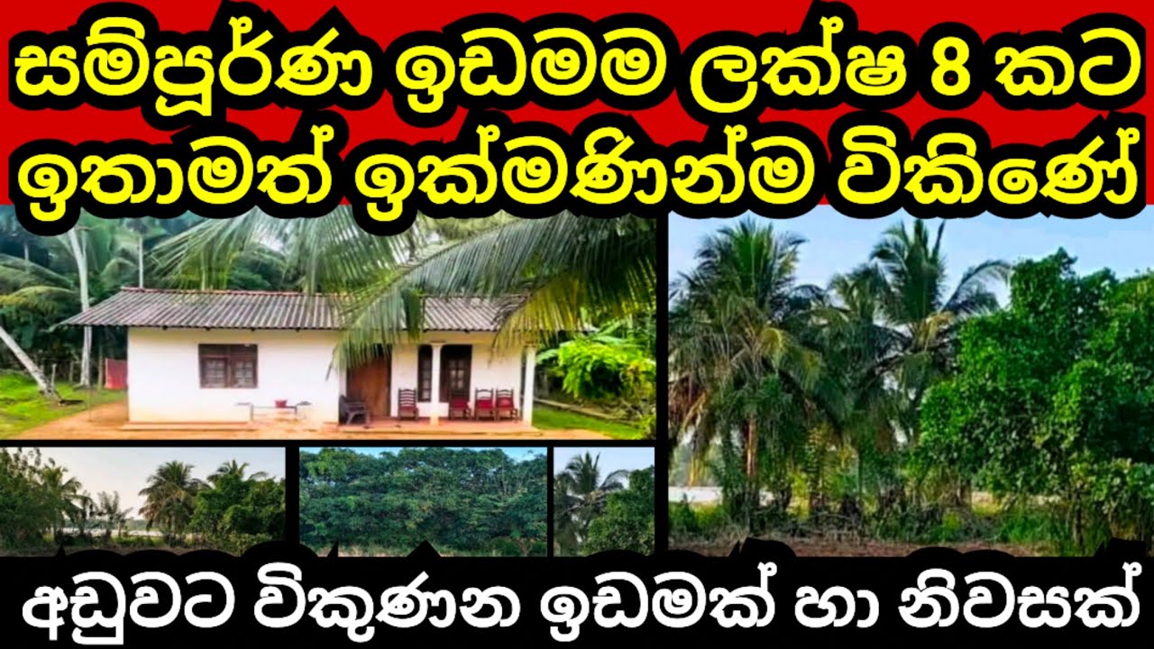 ලක්ෂ 8 කට විකුණන සුපිරි ඉඩම | House for sale | Aduwata idam | Land for sale | Idam sale | Pol idam