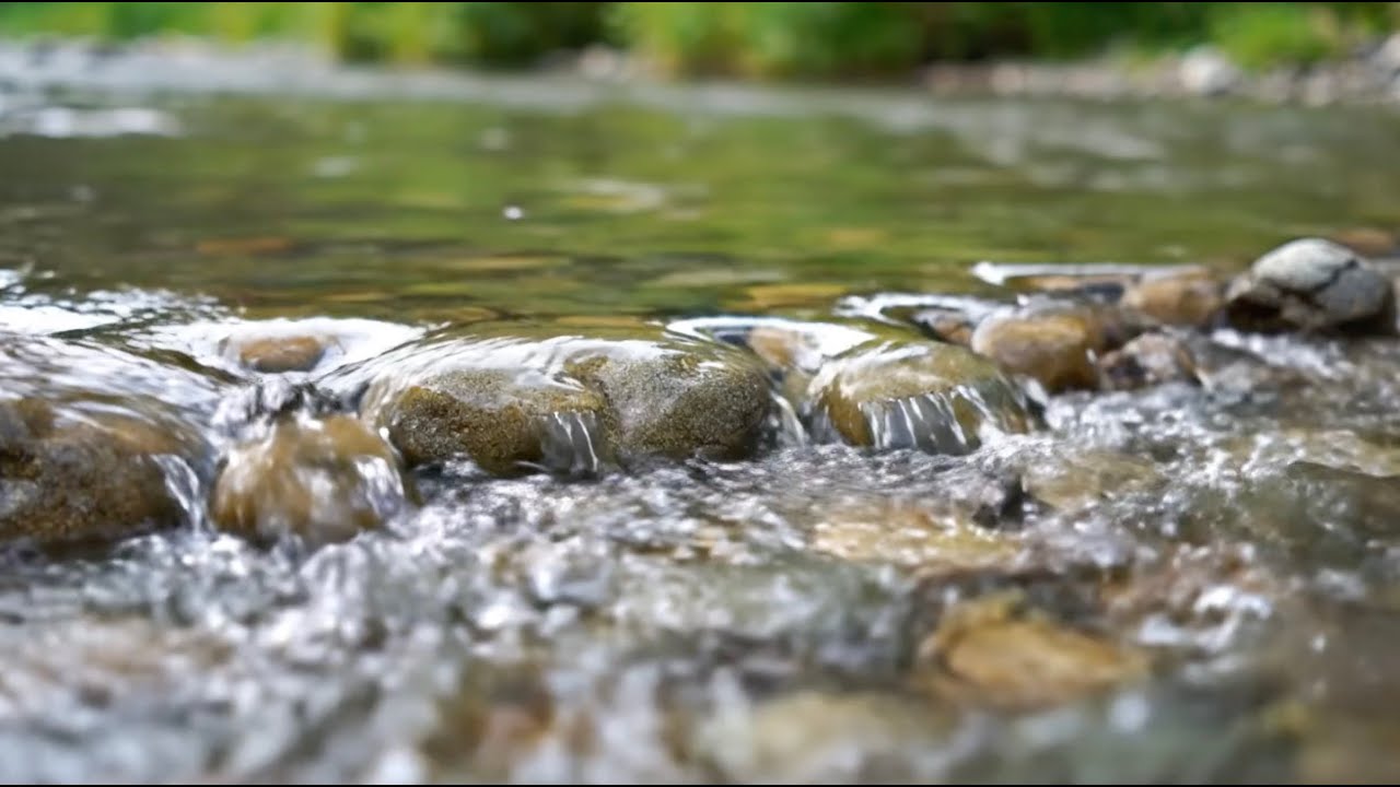 River Water ASMR 🌊 11 Hours | Soothing Flowing Water for Sleep & Anxiety Relief