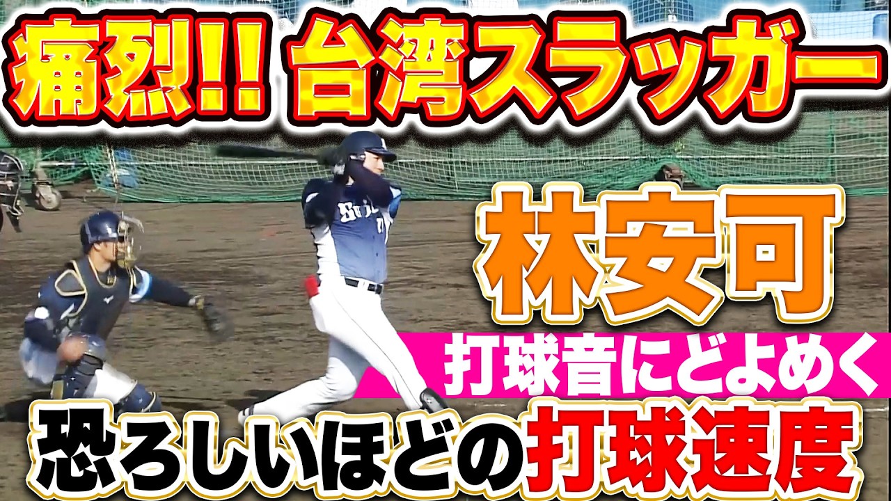 【打球音にどよめく】林安可『恐ろしい程の打球速度…片鱗を見せた台湾スラッガー!!』