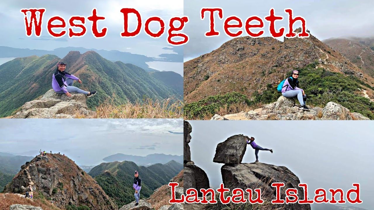 WEST DOG TEETH | How to get there | SolChannel