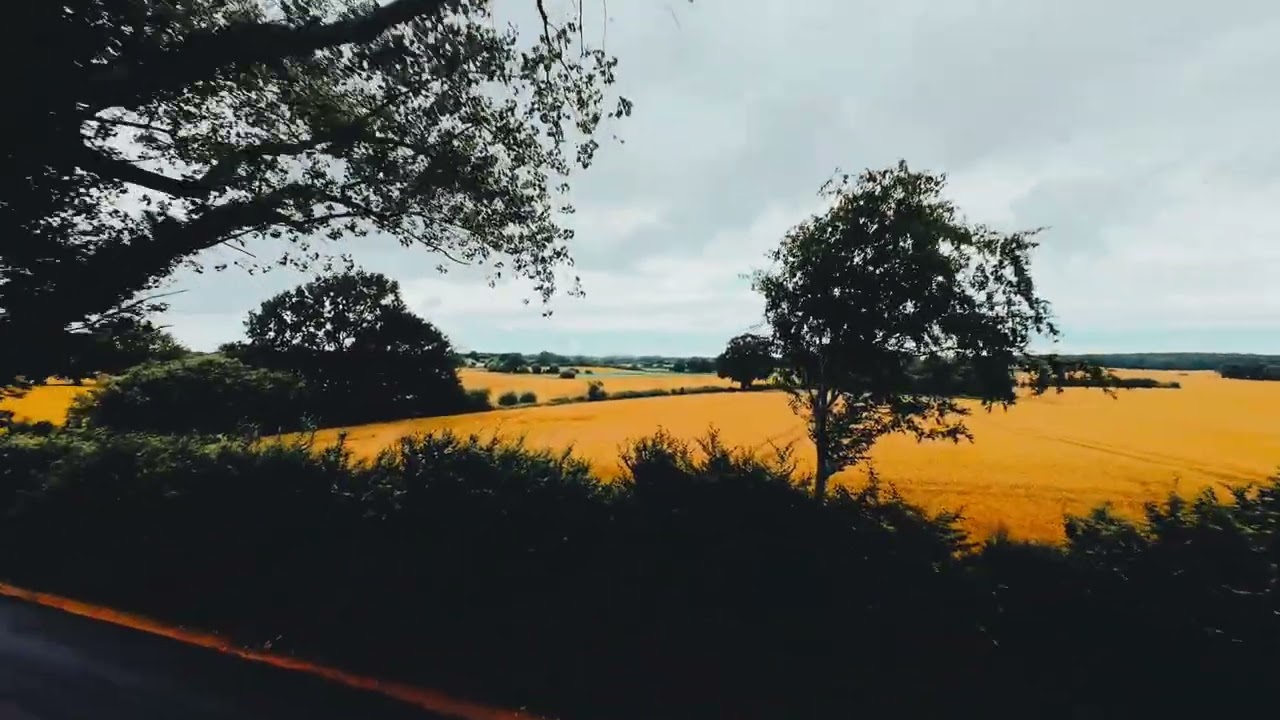 Die Ruhe der Natur