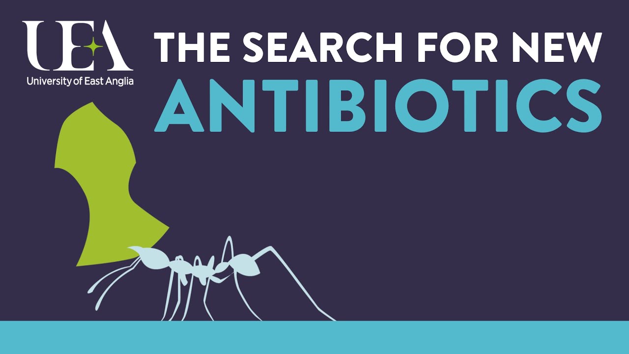 The search for new antibiotics (UEA London Lectures 2015)