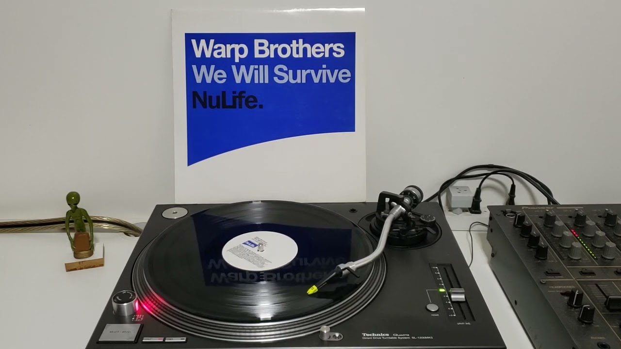 Warp Brothers - We Will Survive