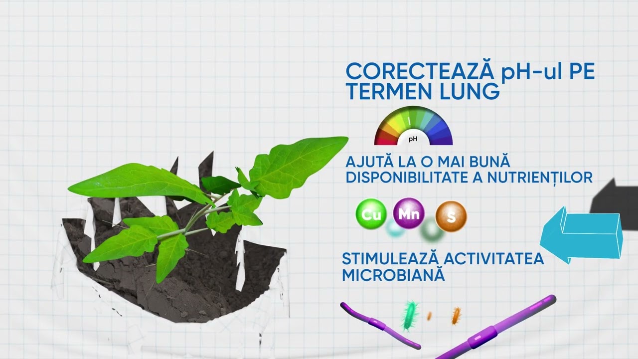 💡Timac AGRO, inovație în domeniul amelioratorilor de sol