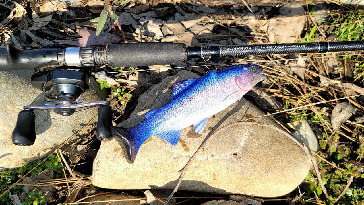 My first 8inch Huddleston swimbait fish