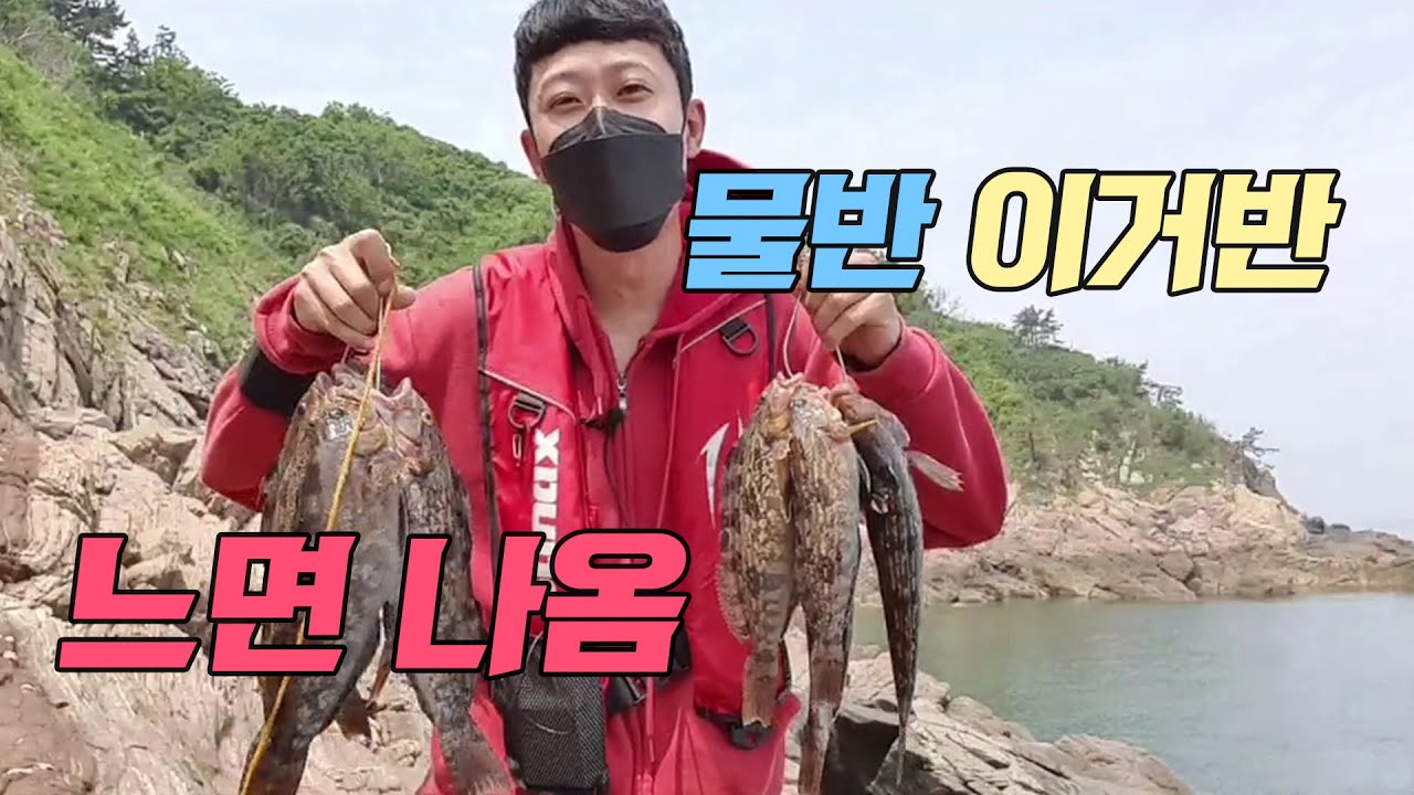 물반 고기반 여기는 얼마나 많은걸까? 타작해보았습니다