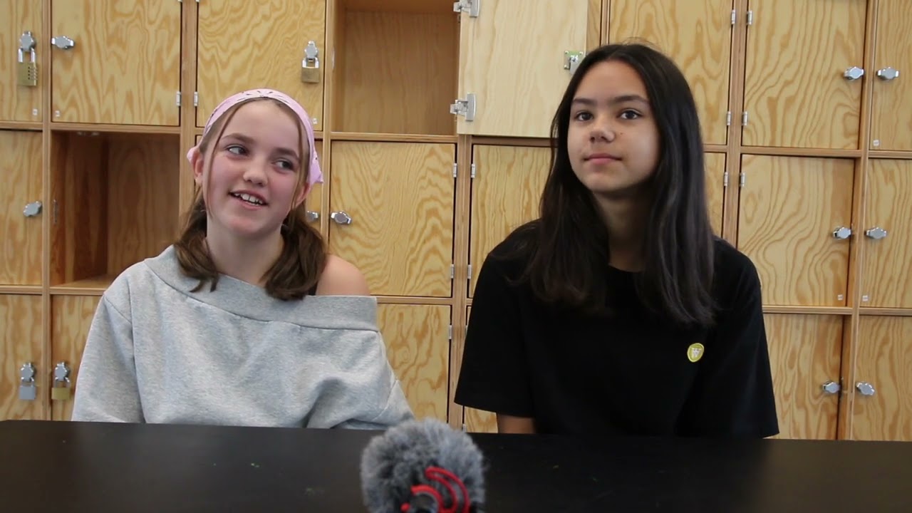 Brønshøj skole info