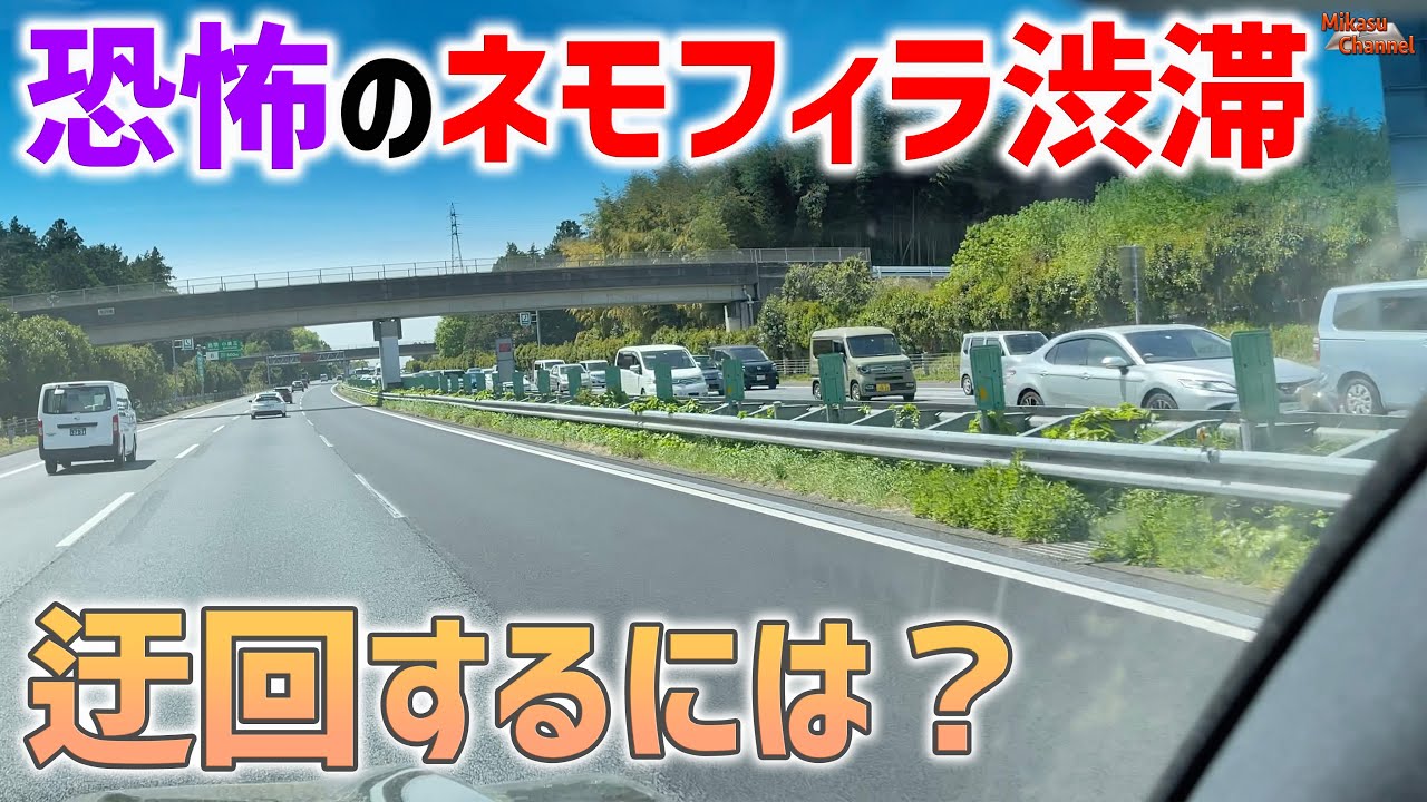 【GW情報】恐怖のネモフィラ渋滞！高速はここで降りるべし！【ひたち海浜公園】