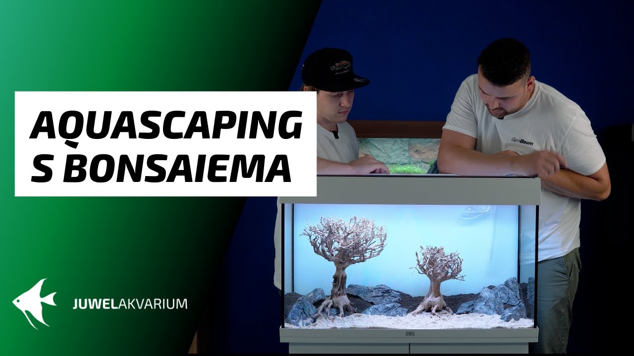 Aquascaping s bonsaiema