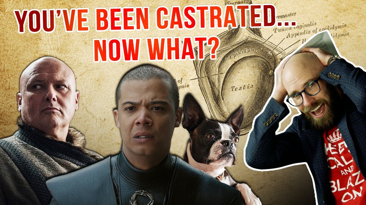 If Human Men Experience Medical Problems After Losing Their Testicles, Then Why Don't Our Pets?
