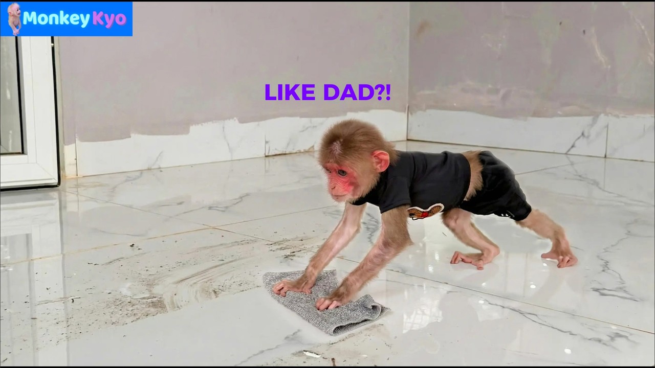 Kyo Tried to Clean the House Like Dad&hellip; And This Happened! 😂