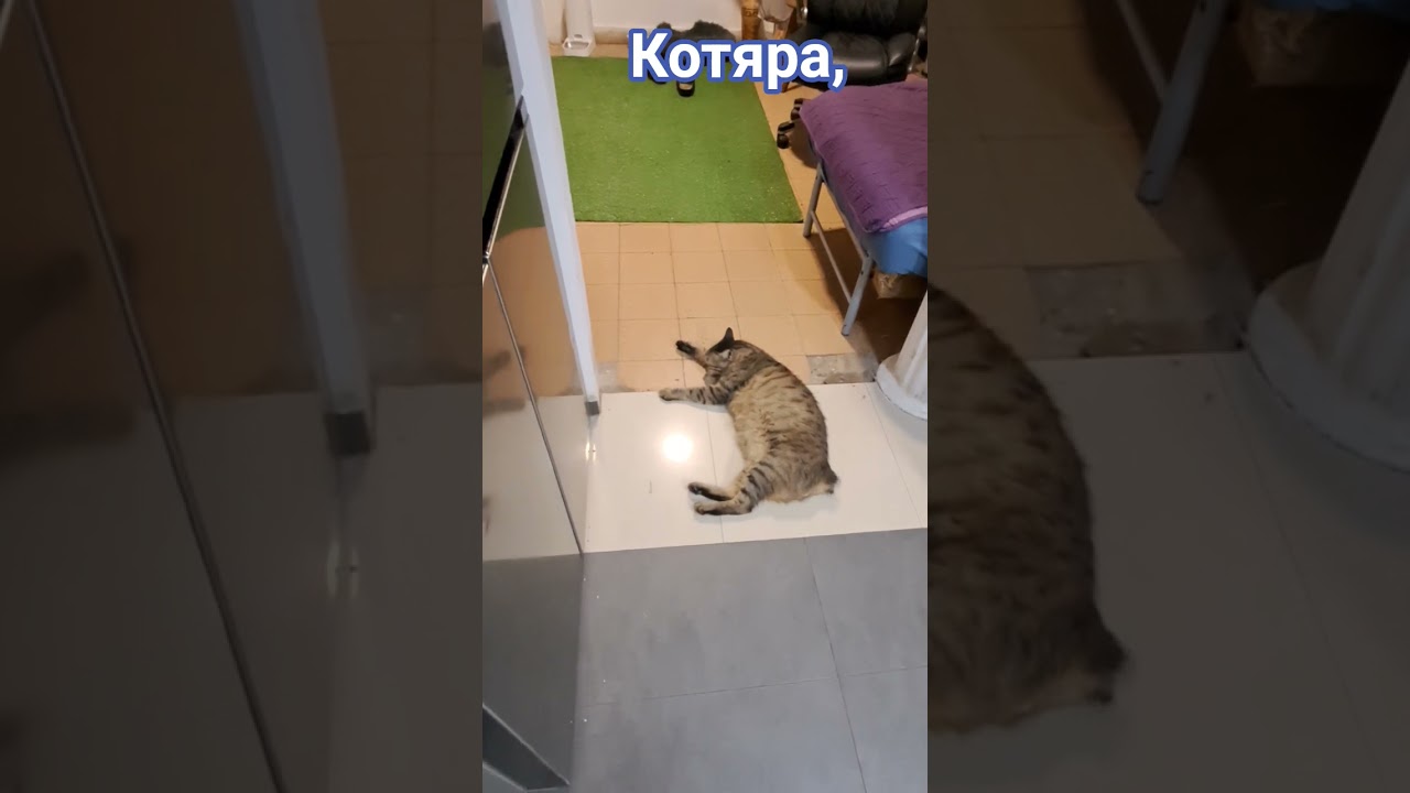 разделяй и властвуй. 