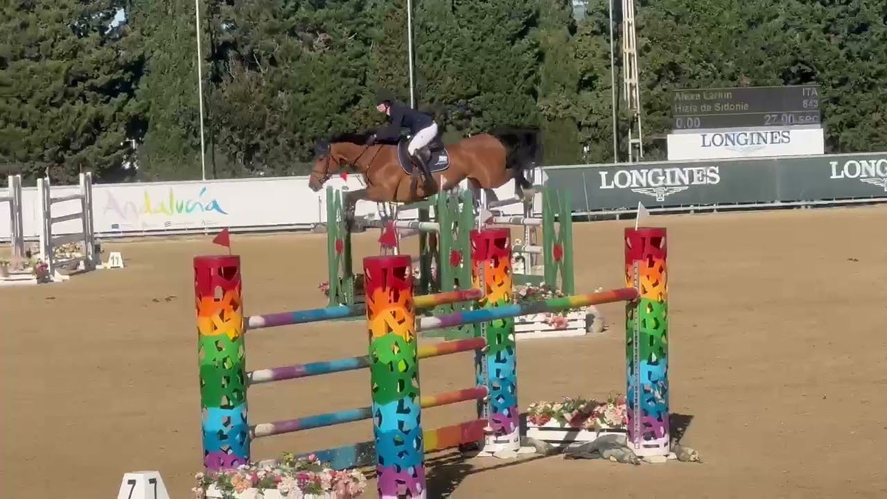 Hizia de Sidonie 9yo www.extrahorses.com
