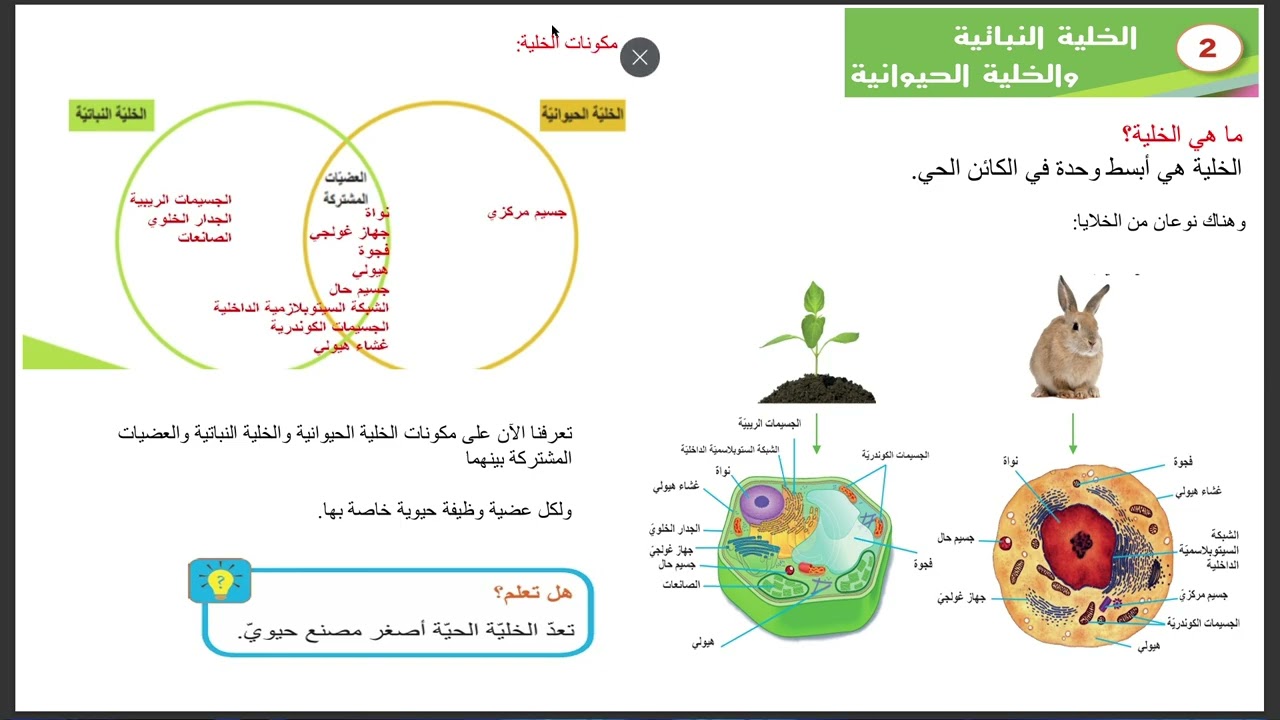 شرح درس الخلية النباتية والخلية الحيوانية الصف السابع المنهاج السوري