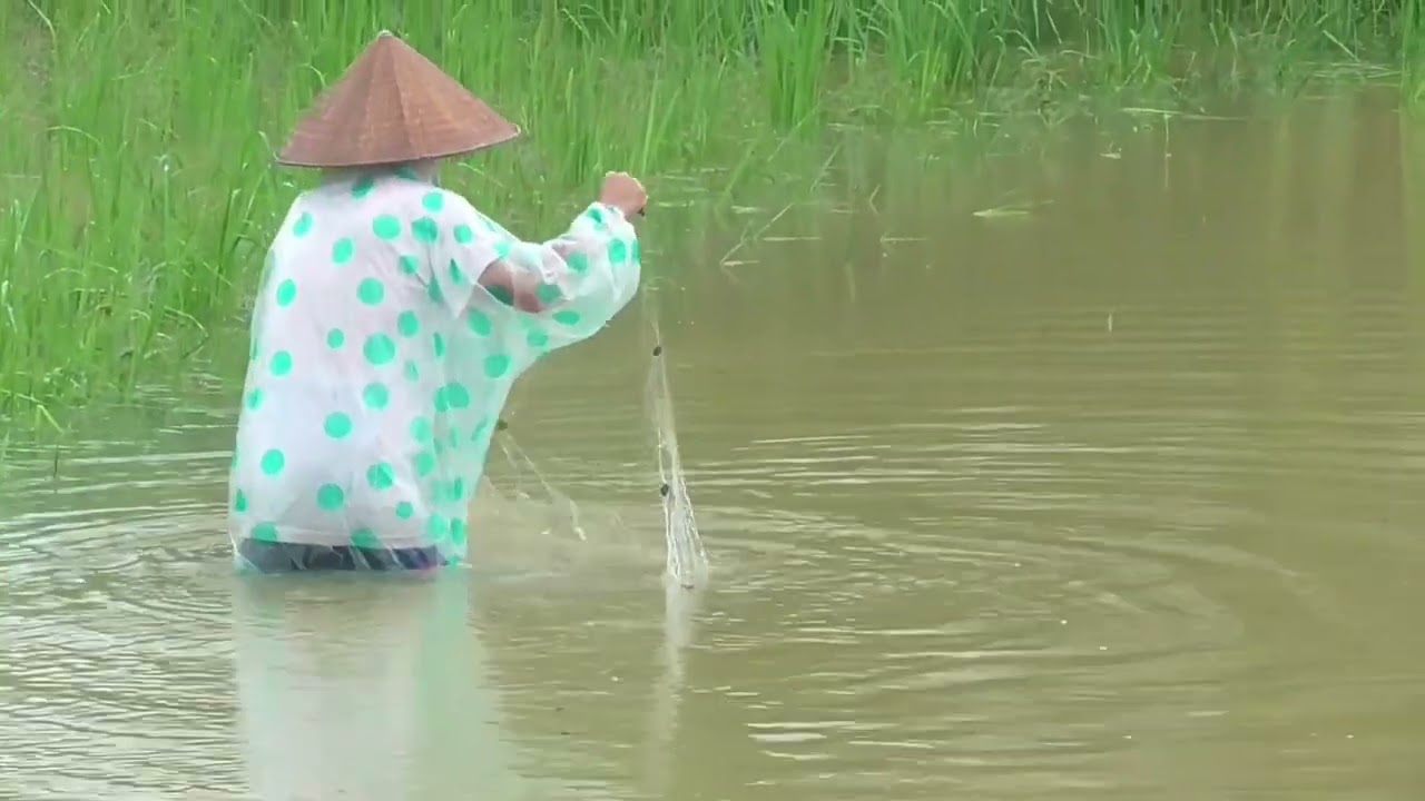 Mưa bão nước lũ về cùng gia đình thả lưới bắt cá