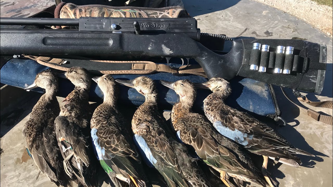 PBBA Pro-20 air shotgun goes on a Teal hunt