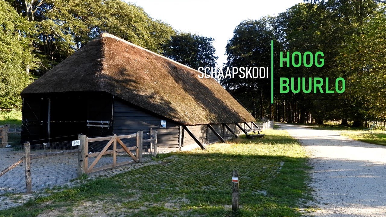 Schaapskooi Hoog Buurlo