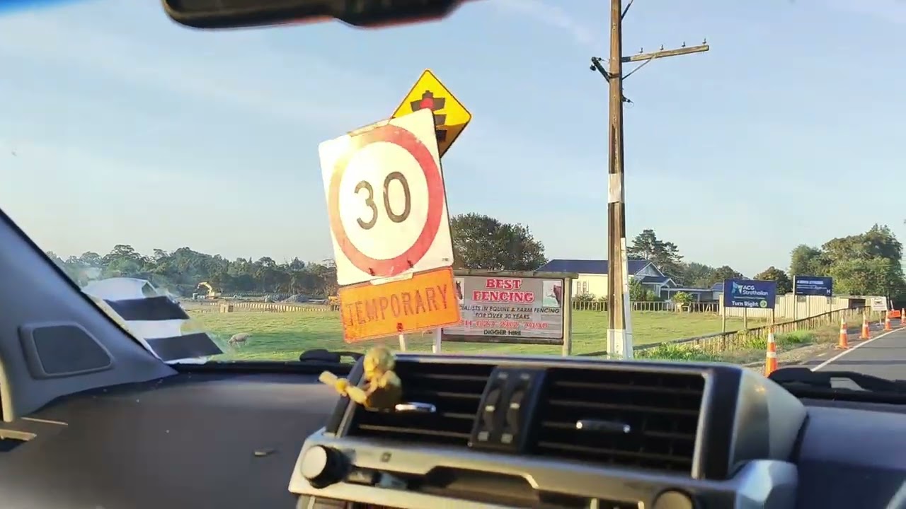 我在新西兰做花园工（下）#新西兰生活 #花园打理 #happy 