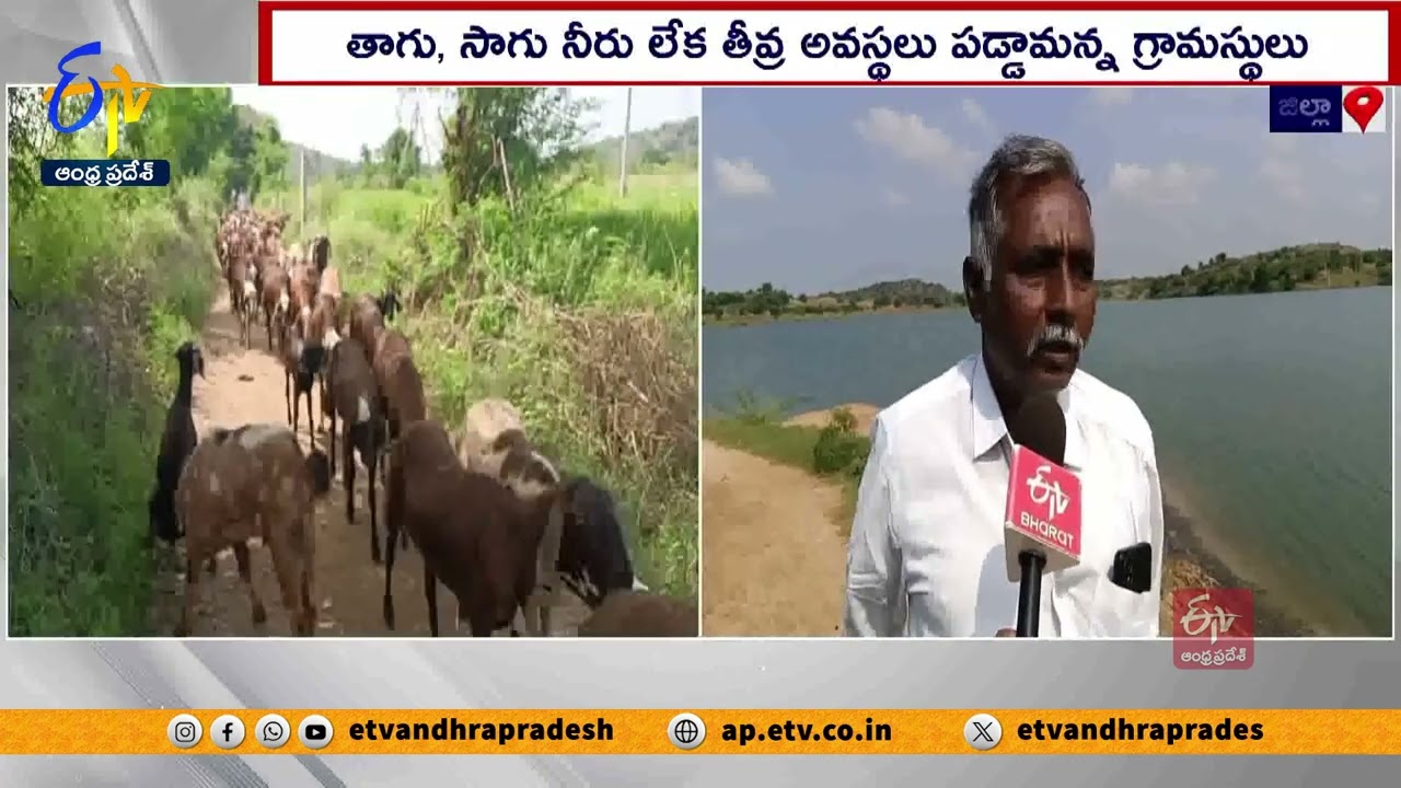 జలకళ సంతరించుకున్న జరుట్లాపురం చెరువు | Jarutlapuram Pond Filled With Handri Neeva | Minister Keshav