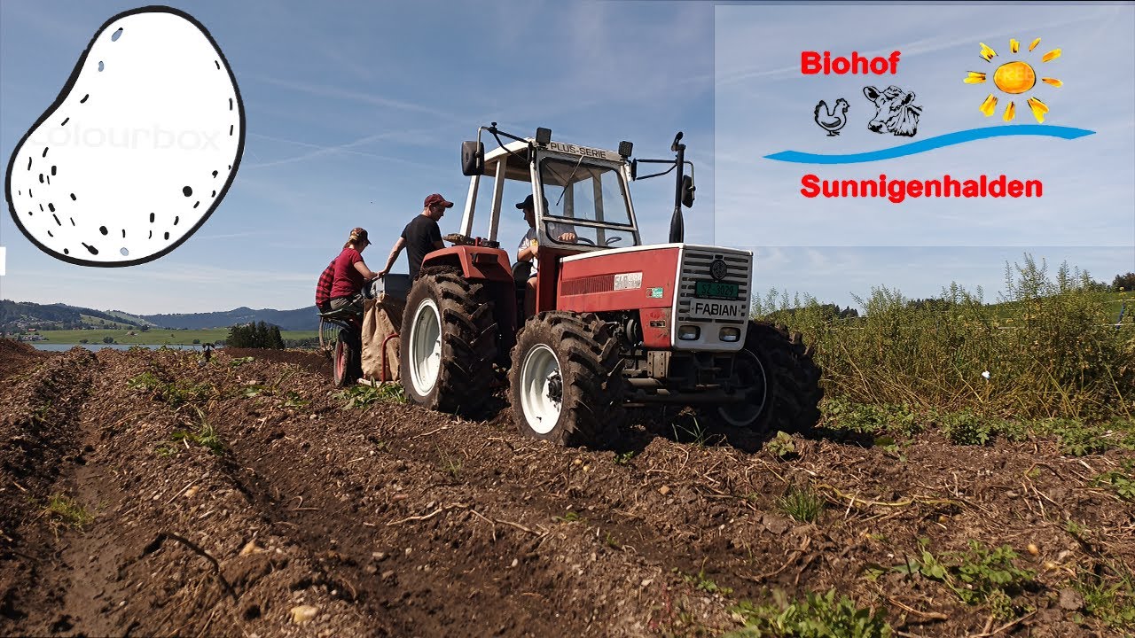 Kartoffel Ernte 2023 mit Steyr 548, Bucher d4000 und Case CS75 | Biohof Sunnigenhalden
