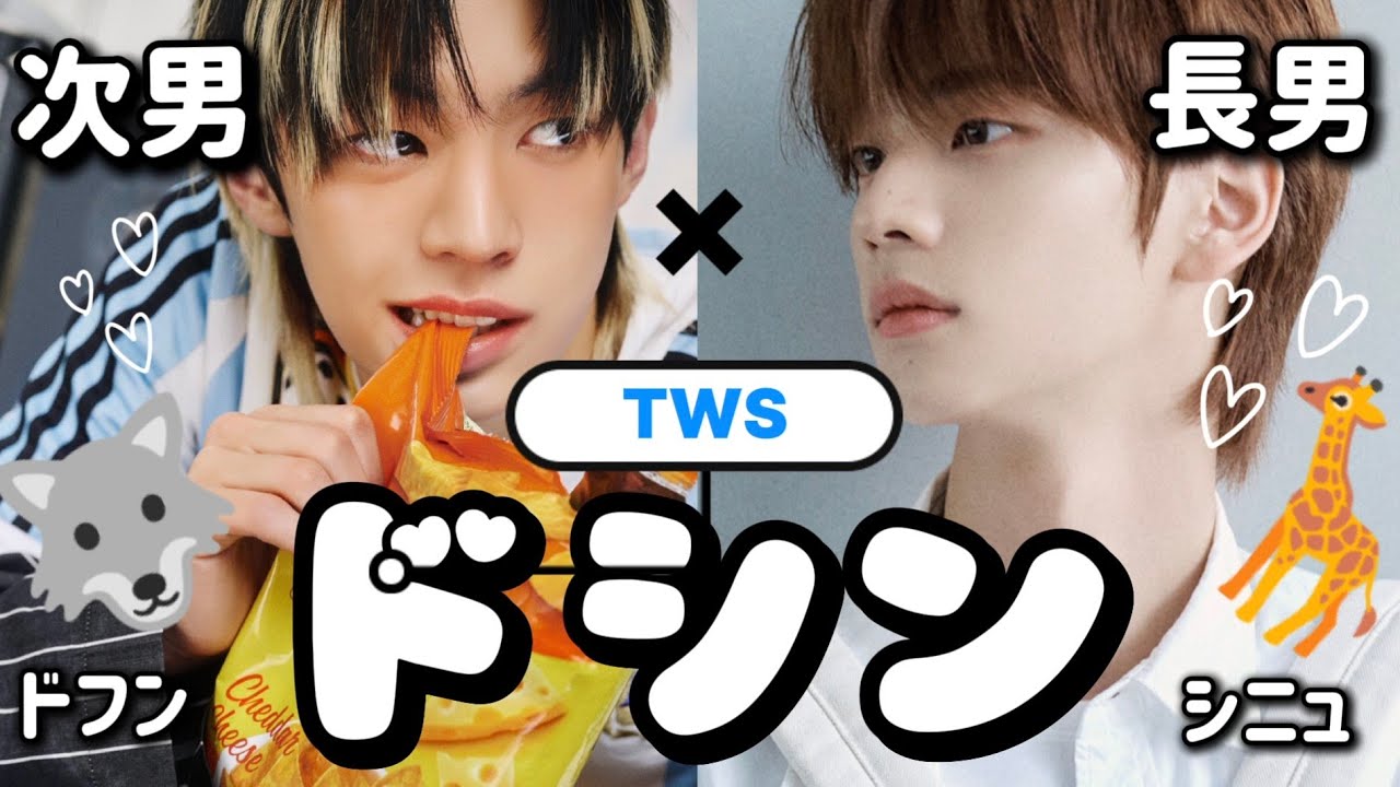 【TWSケミ】ドシン集ドフン＆シニュ【日本語字幕】
