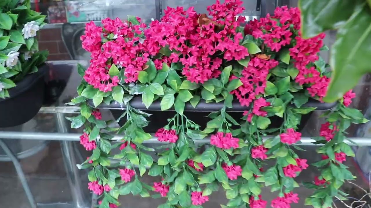 Ghé tiệm bánh mì của Ca sĩ Linda Trang Đài ở CA