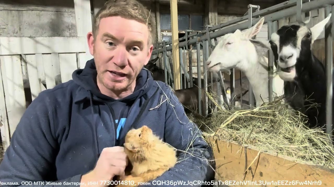 ГОТОВЛЮ ЗИМНИЕ КВАРТИРЫ ДЛЯ КУР